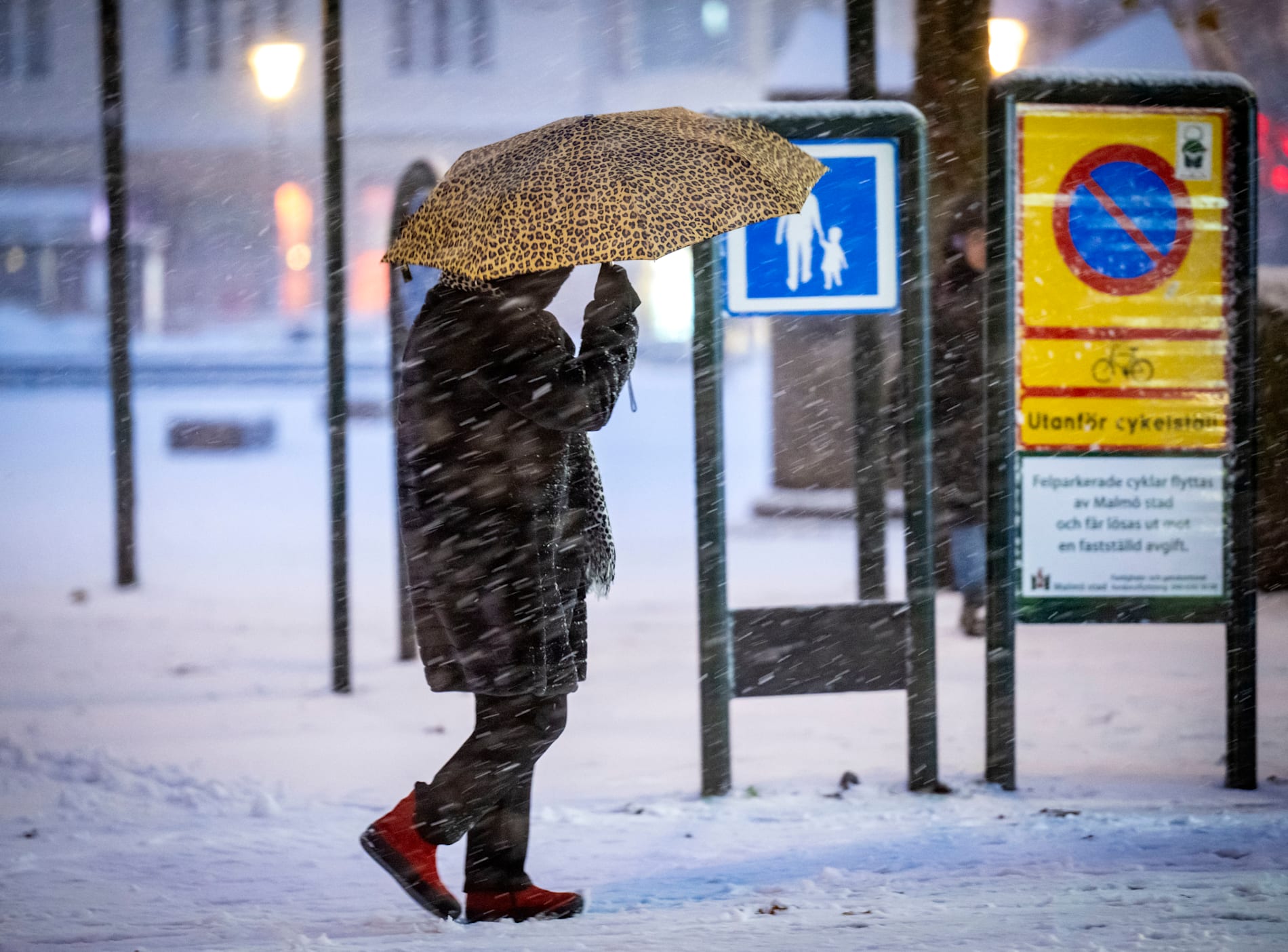 Person med paraply i snöoväder.