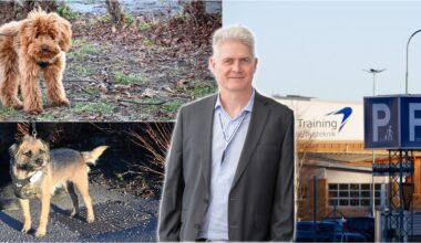 Skavsta öppnar parkering för hundar på nyår