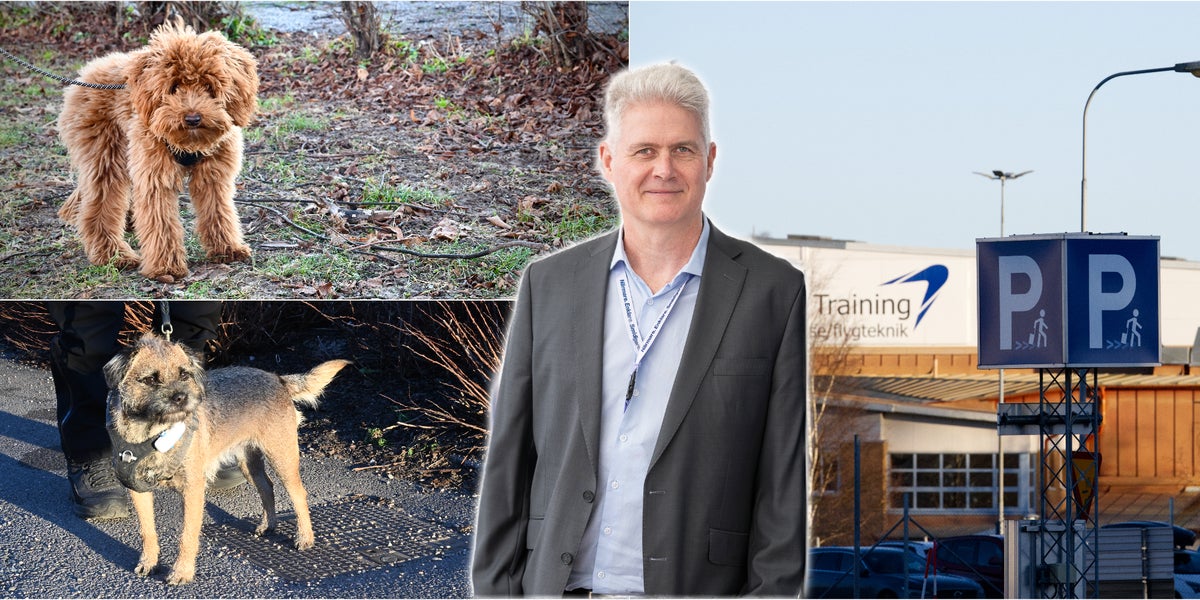 Skavsta öppnar parkering för hundar på nyår