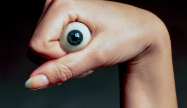 SFF bjuder på kunskap - Fotosidan