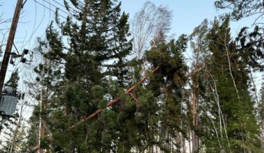 Elnätsjätte räknar med rekordnota efter stormen Johannes