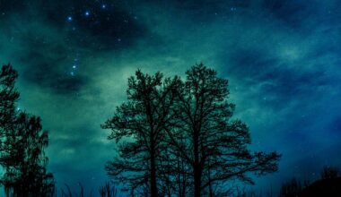 Johan fick uppleva norrskenet i Örebro i helgen: ”Kändes magiskt”