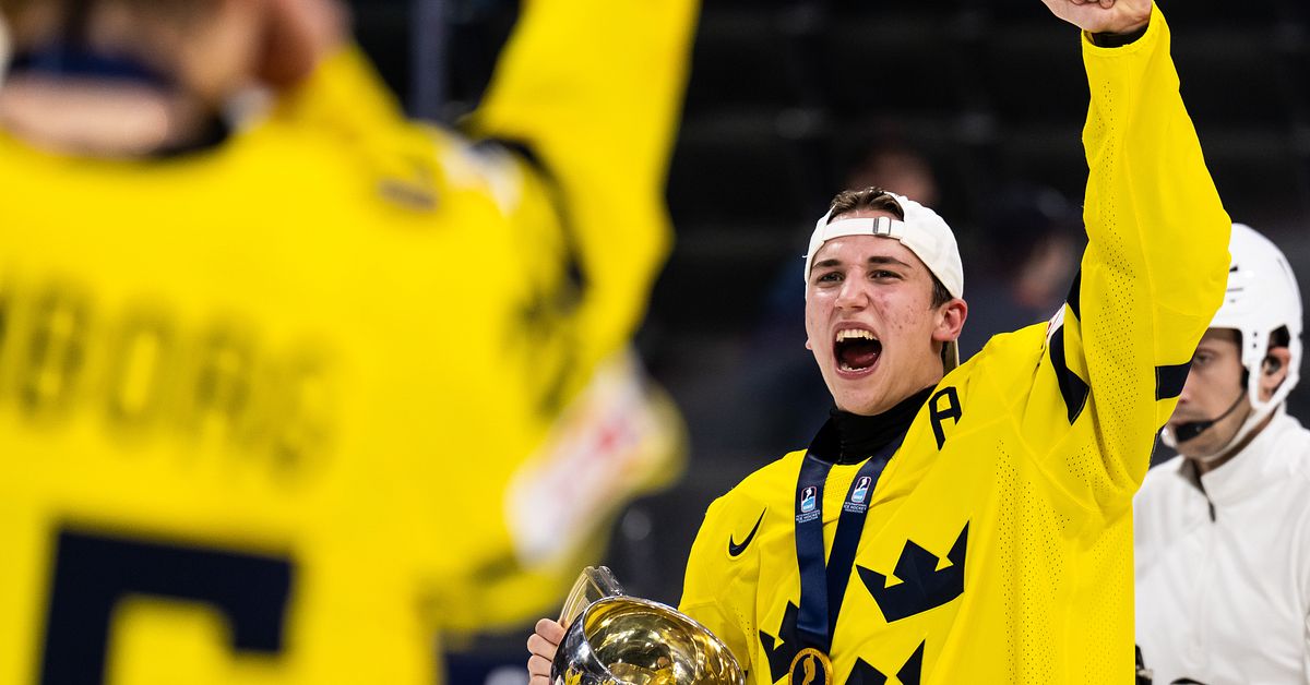 Ishockey: Experterna om spelarna som klev fram i Sveriges lag - SVT Nyheter