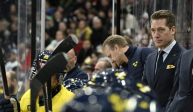 Bara NHL-stjärnor i Tre Kronors OS-trupp