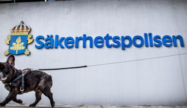 Misstänkte mannen tros ha gått Ryssland ”till handa”