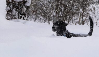 Söderhamn har fått mest snö på 15 år - Söderhamns-Kuriren