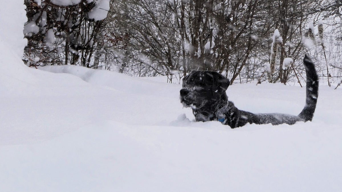Söderhamn har fått mest snö på 15 år - Söderhamns-Kuriren