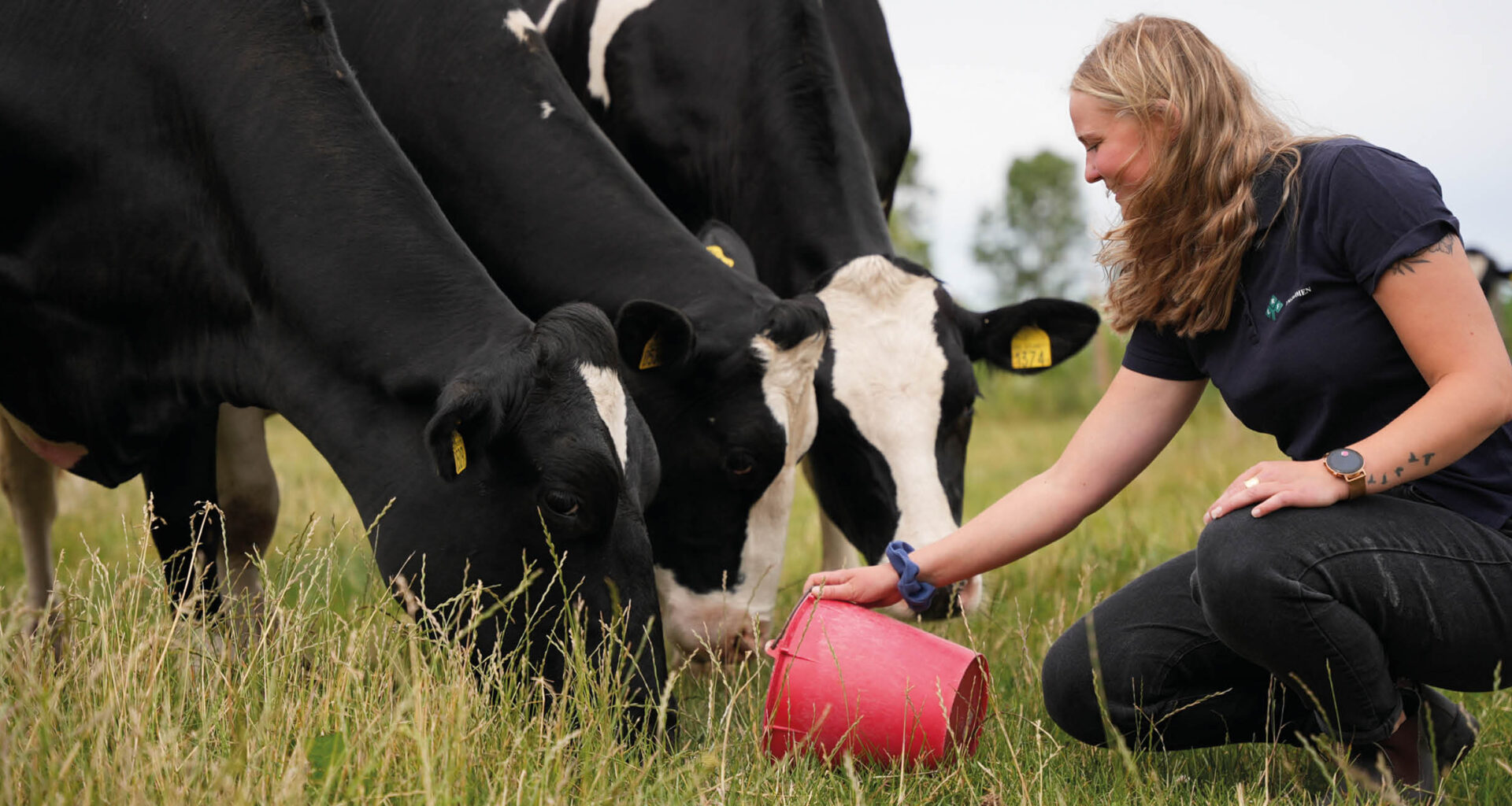 Nya ungdomsbasen om lantbrukets utmaningar