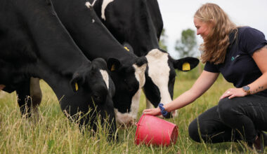 Nya ungdomsbasen om lantbrukets utmaningar