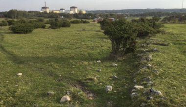 Bilden visar en vy från naturreservatet Biskopshagen där Ringhals kärnkraftverk syns i bakgrunden,