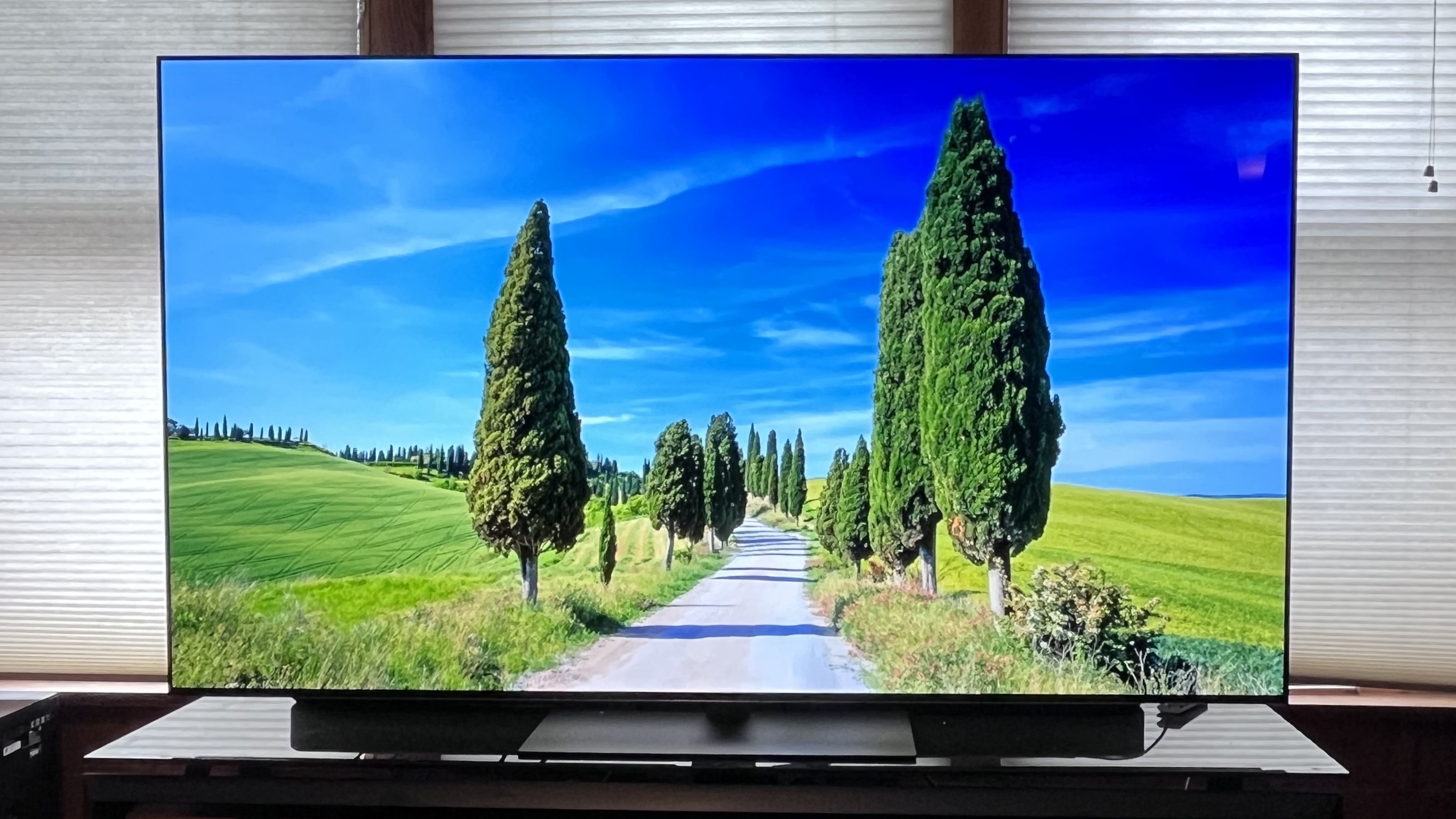 LG G5 OLED TV visar tr&auml;d l&auml;ngs en landsv&auml;g.