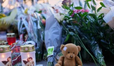 Baren i Schweiz inte inspekterad på fem år - Västerbottens-Kuriren