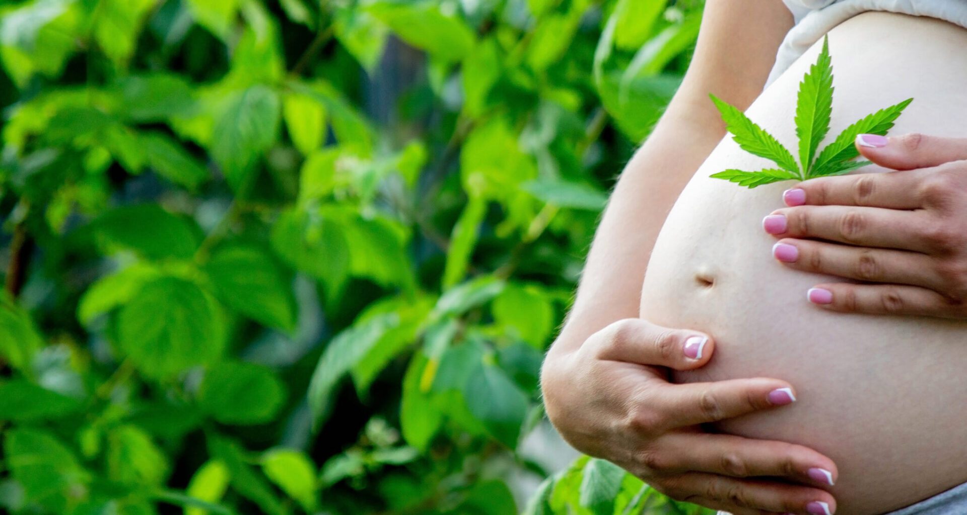 USA: fler gravida kvinnor använder cannabis