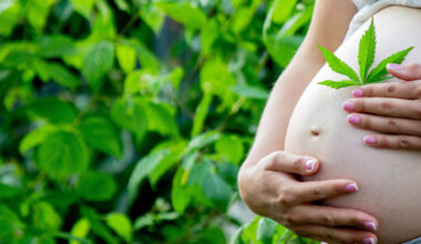 USA: fler gravida kvinnor använder cannabis