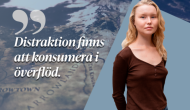 I brist på gemensamma sagor – Lundagard.se