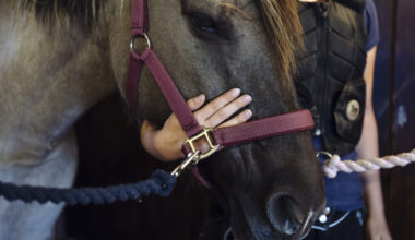 Gå till artikel: “Vi har lyssnat” - Styrelsen återkallar beslut och inleder nytt arbete