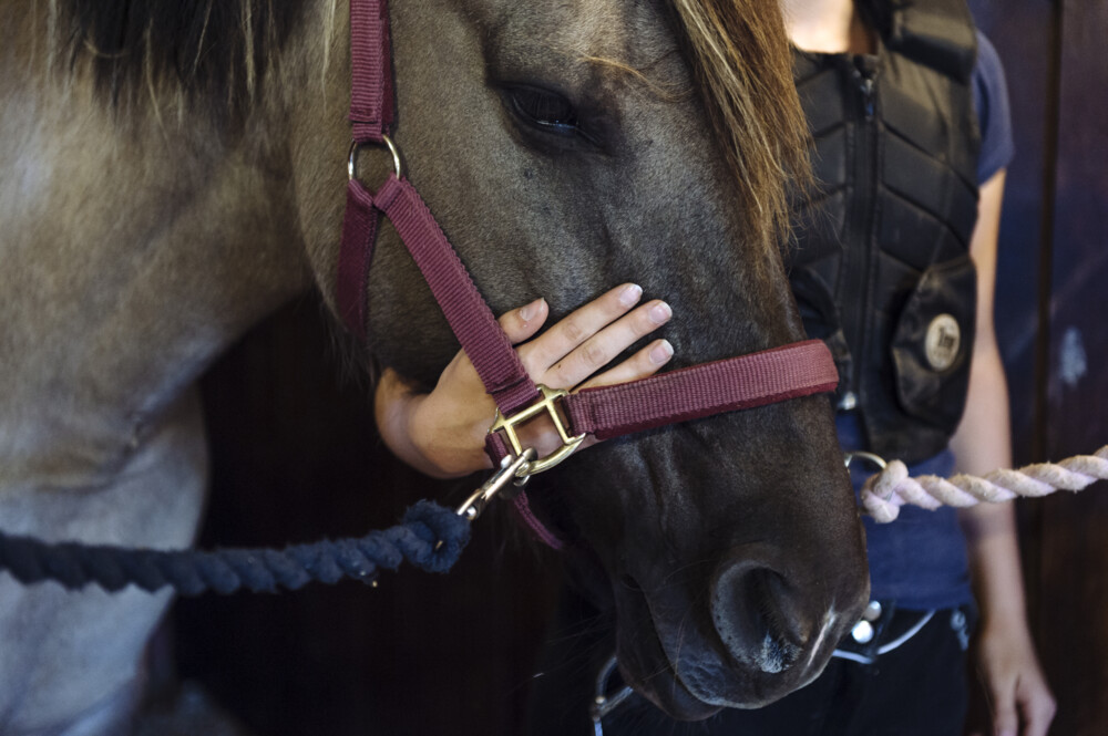 Gå till artikel: “Vi har lyssnat” - Styrelsen återkallar beslut och inleder nytt arbete
