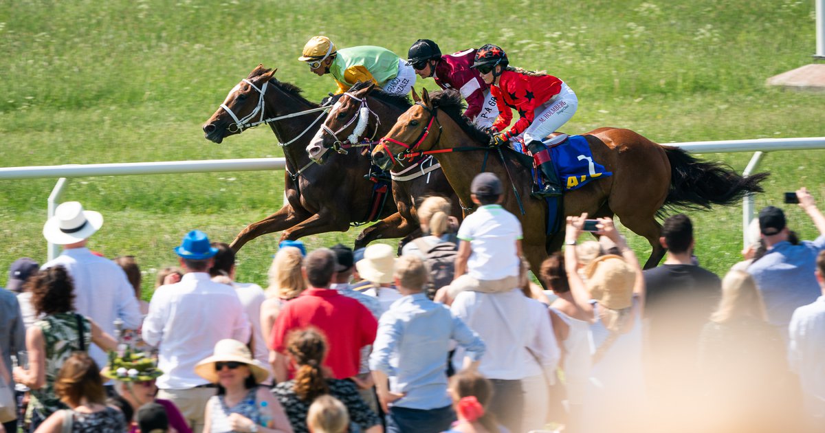 Ryttarlicenskurs våren 2026 - 18 april 2026