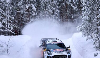 Förtydligar: Ska kontakta samebyn - Västerbottens-Kuriren