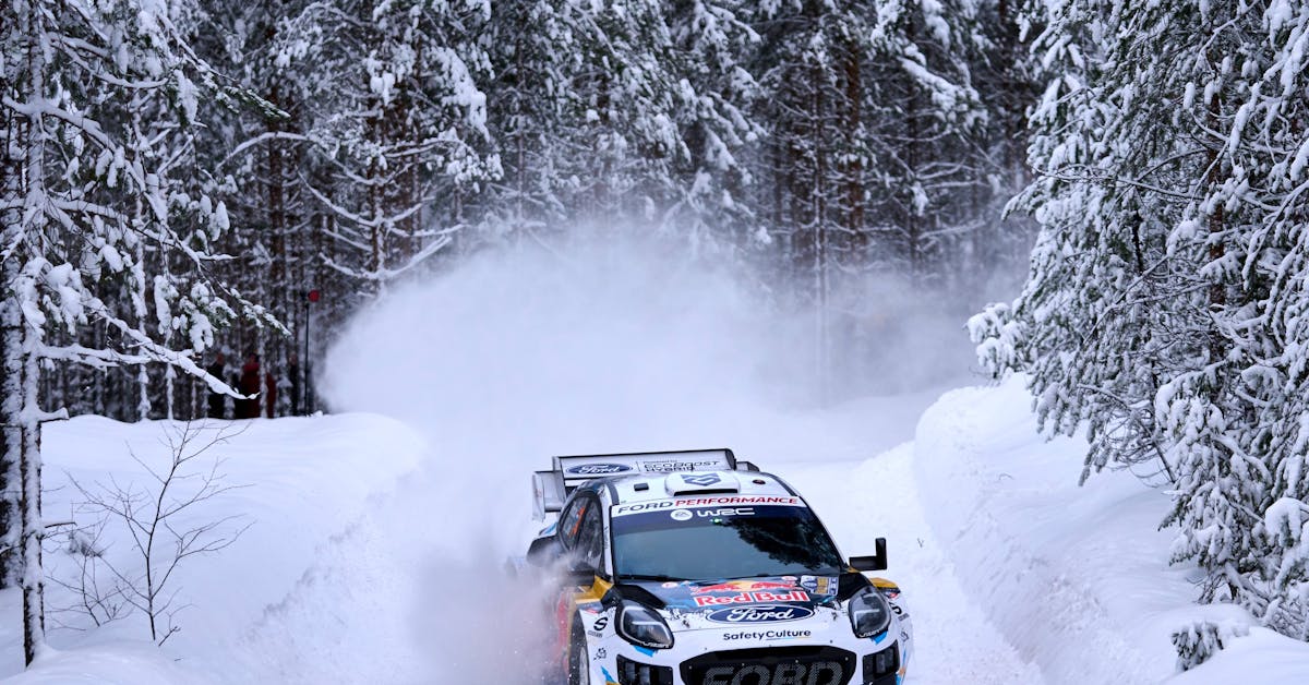 Förtydligar: Ska kontakta samebyn - Västerbottens-Kuriren