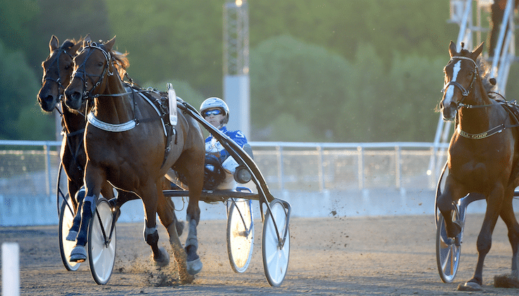 GS75 Tips Söndag Gävle 18/1