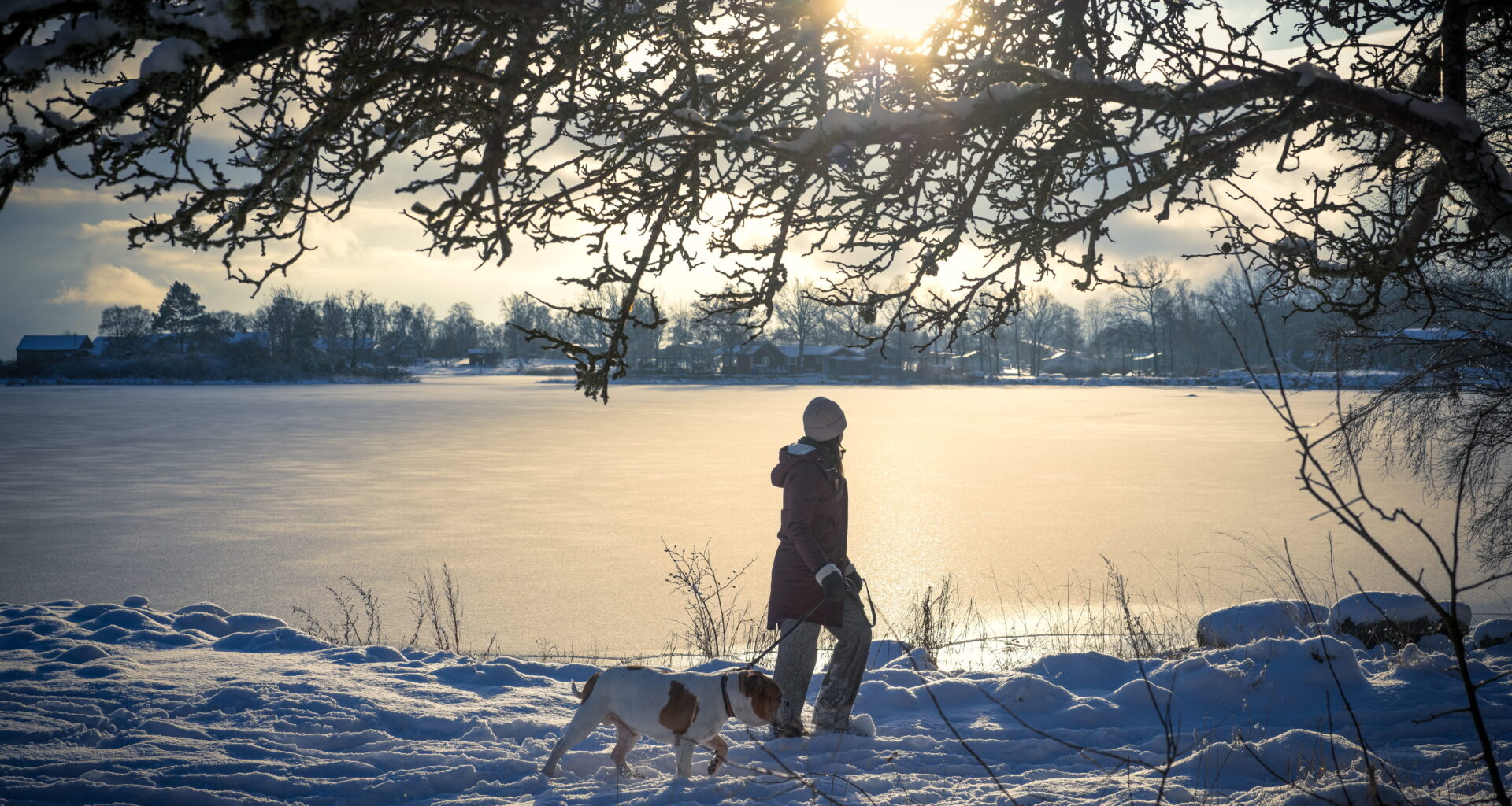 Så ska länet utvecklas framåt – med utblick mot 2040