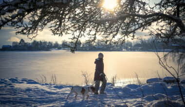 Så ska länet utvecklas framåt – med utblick mot 2040