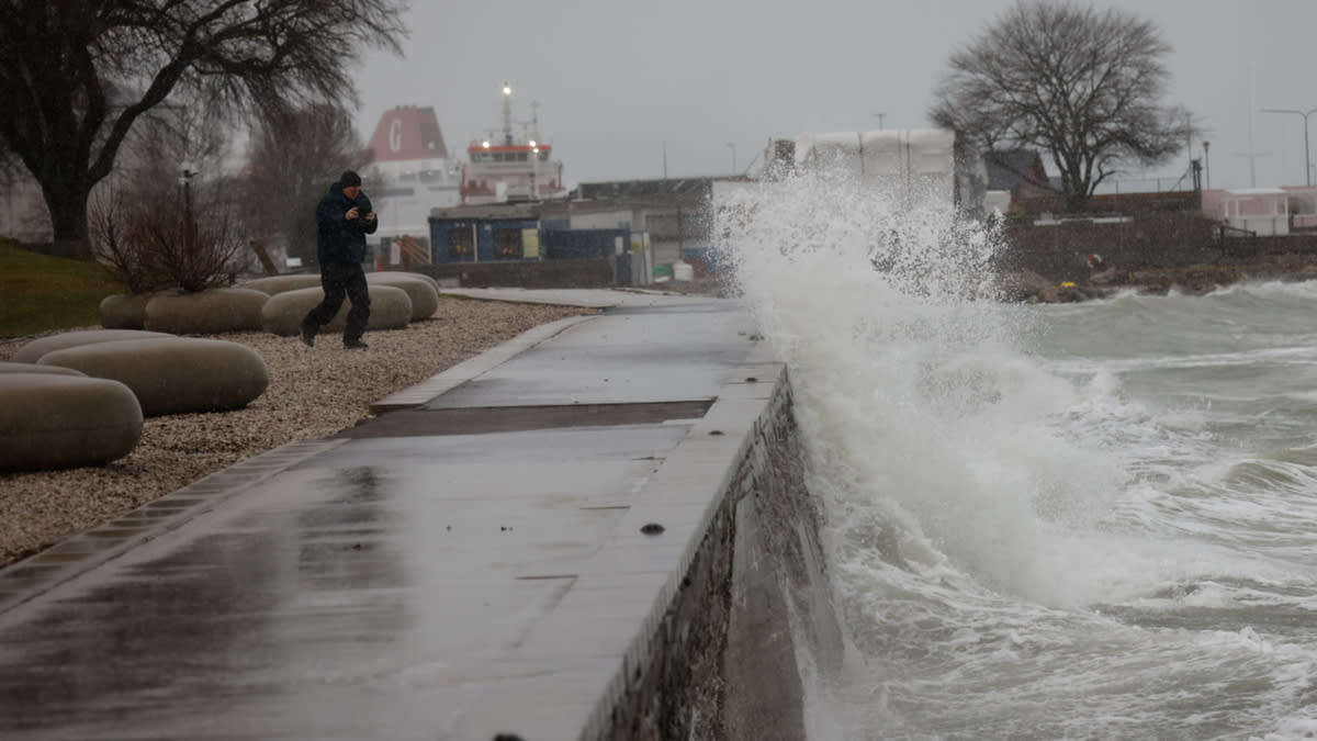 Gotland under en stormig januaridag 2025.