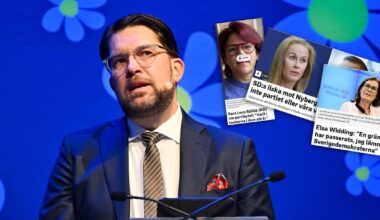 Miljonsmäll för SD – efter vildarnas beslut