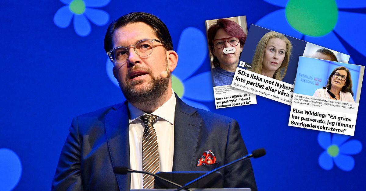 Miljonsmäll för SD – efter vildarnas beslut
