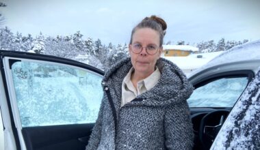 Anneli döms efter att vildsvin sprang in i hennes bil