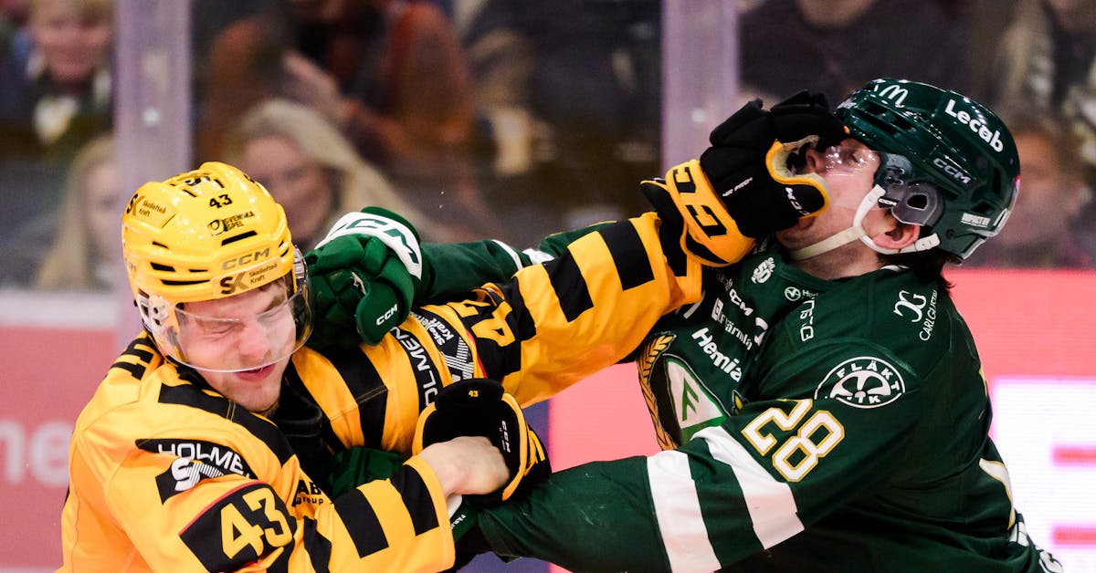 Stängs av efter slagsmål: ”Båda är lika drivande” - Västerbottens-Kuriren