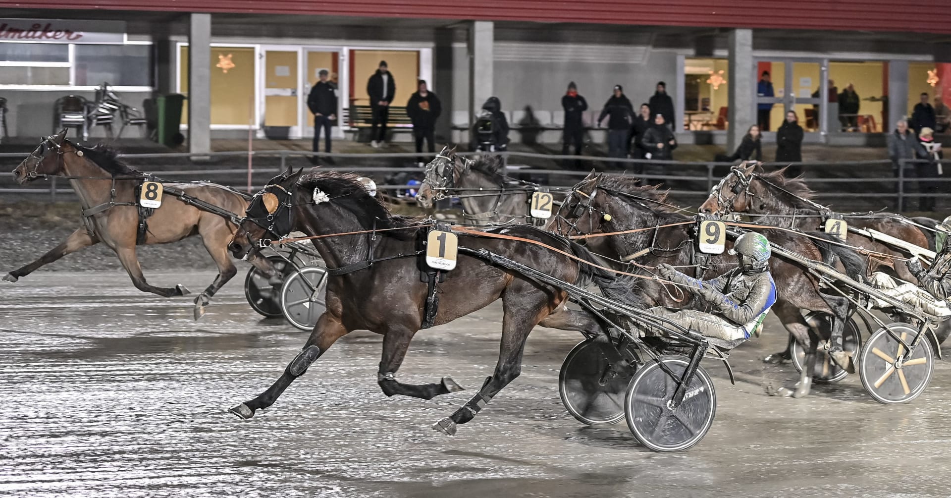 Foto: JENNY REHNMAN / TR BILD