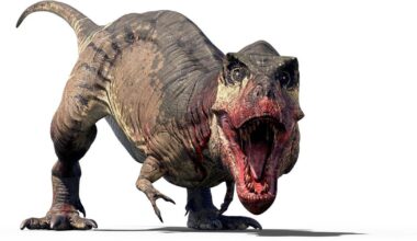 Tyrannosaurus rex fullvuxen först vid 40