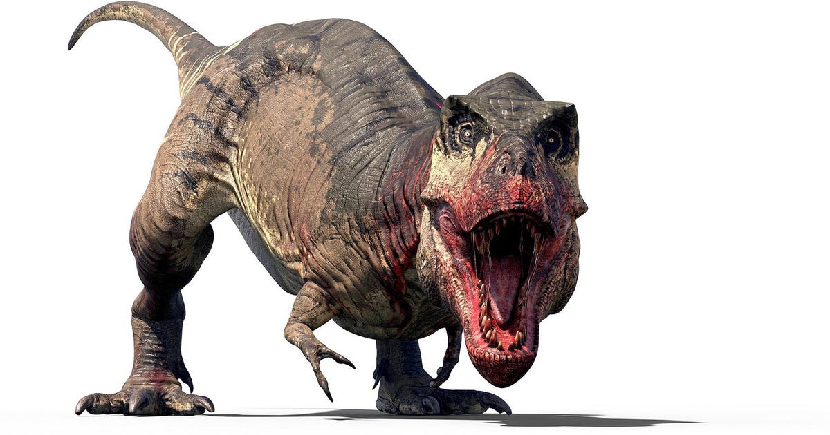 Tyrannosaurus rex fullvuxen först vid 40