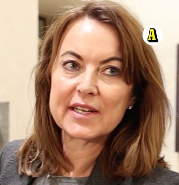 Mannens advokat Hanna Lindblom säger att han nekar till brott.