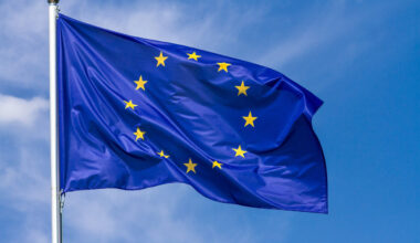 Öppet brev till Sveriges EU-parlamentariker, Sveriges regering och riksdagens EU-nämnd