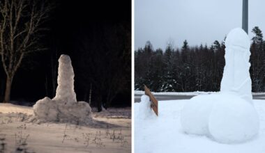 Årets första snöpenis restes – och togs bort – Borås Tidning