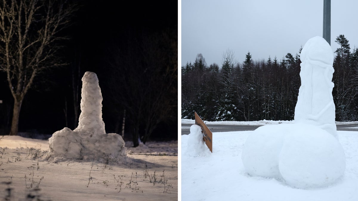 Årets första snöpenis restes – och togs bort – Borås Tidning