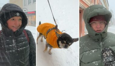 Härnösandsbor om röda varningen: ”Lite läskigt när det blir så mycket snö”