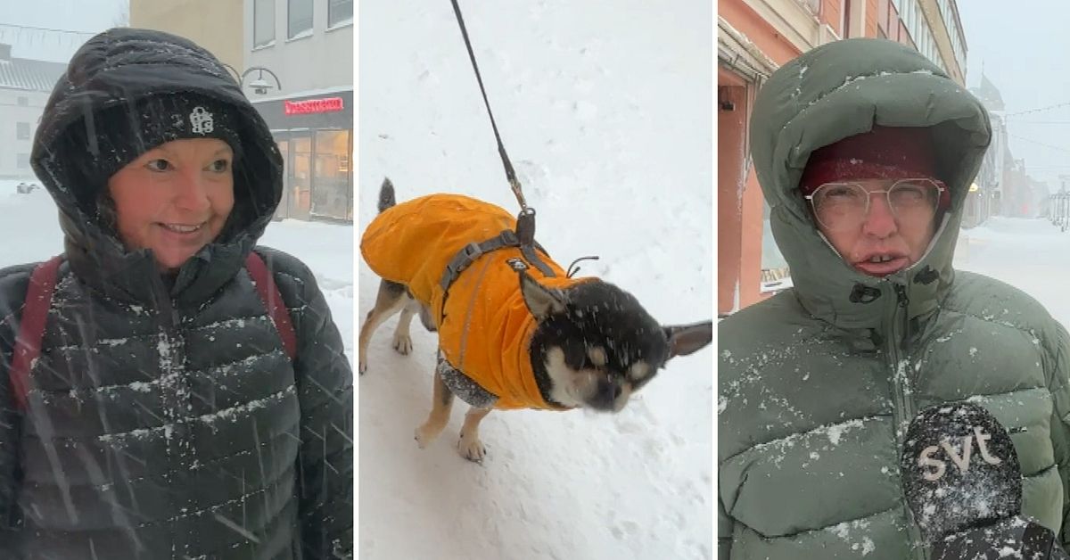 Härnösandsbor om röda varningen: ”Lite läskigt när det blir så mycket snö”