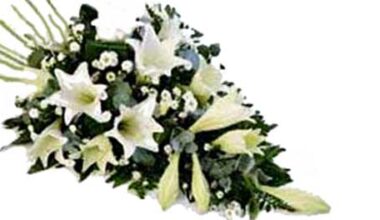 AnnBritt Örnell, Värnamo - Värnamo