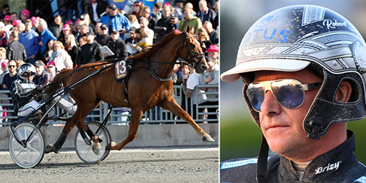 Förre stjärnhästen Balfour är död – han blev 15 år