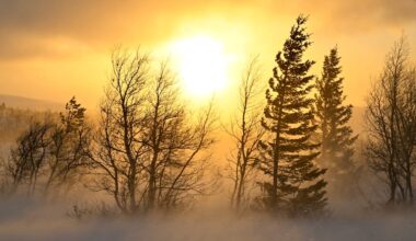 Tre veckors mörker över i Kiruna: ”Mot ljusare tider”