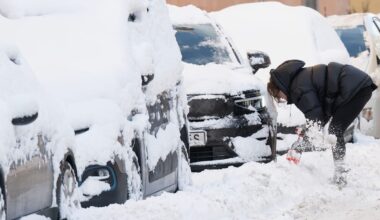 ”Mycket talar för nationellt isdygn”