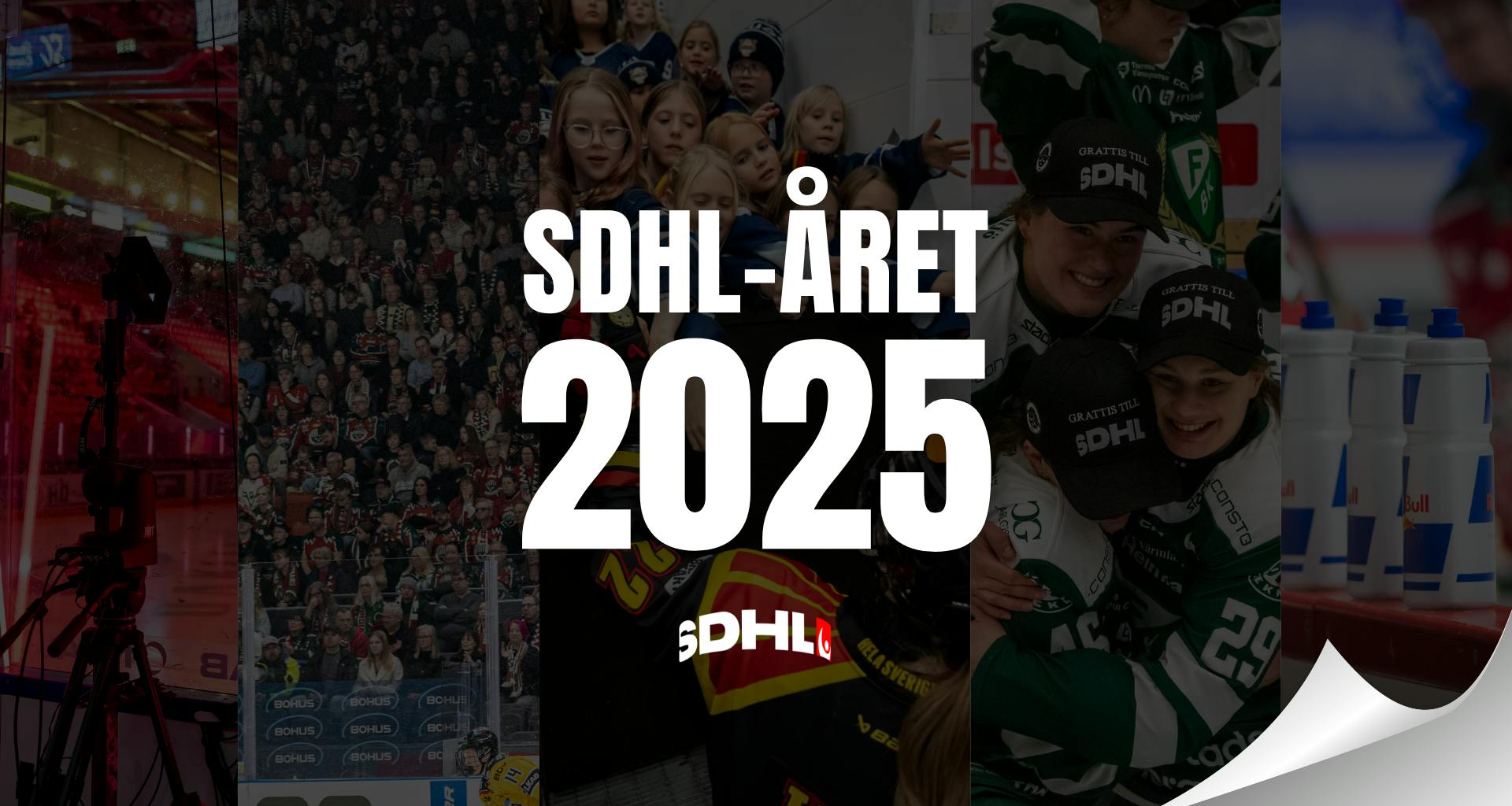 Summering av SDHL-året 2025