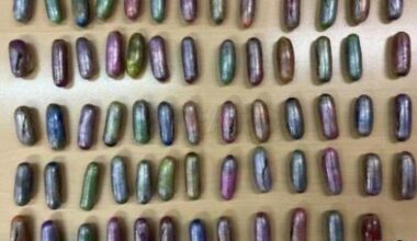 Svensk man gripen med ett halvt kilo hasch i magen