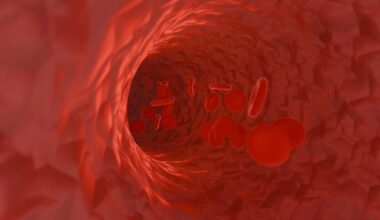 Långvarig diabetes ökar risken för kärlskador