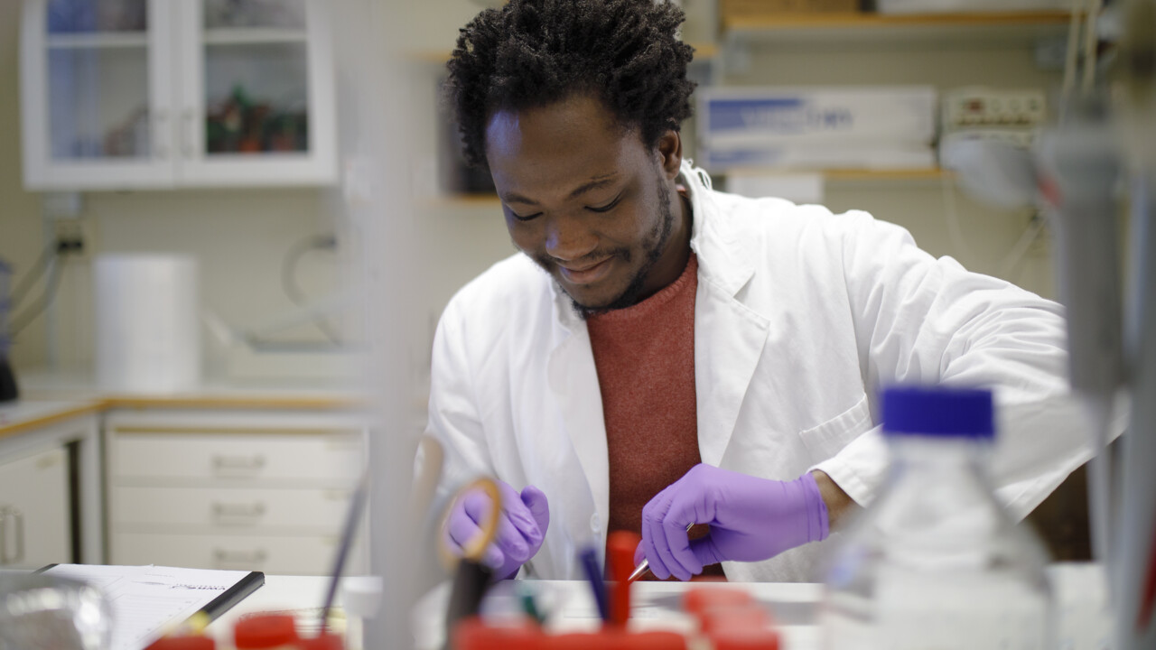 Undersöker hur cellens proteintillverkning finjusteras vid salmonellainfektion