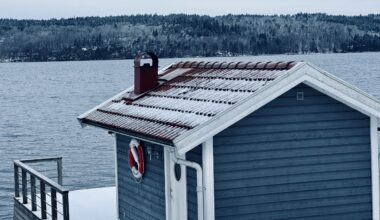 Positiv inledning på börsåret i Asien – OpenAI tar fram AI-penna – bostadspriserna föll i december och på helåret – Cornucopia?